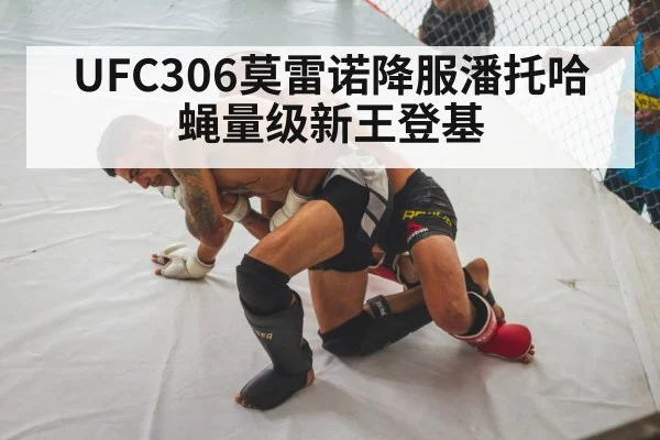 MMA fighter grappling